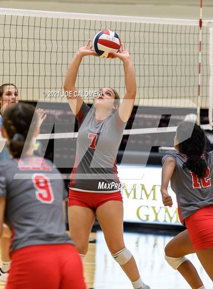 Thumbnail 2 in Lee vs Johnson photogallery.