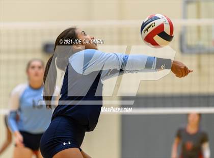 Thumbnail 2 in Lee vs Johnson photogallery.