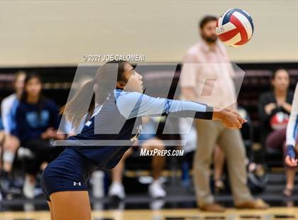 Thumbnail 2 in Lee vs Johnson photogallery.