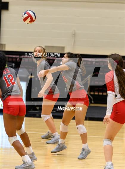Thumbnail 3 in Lee vs Johnson photogallery.