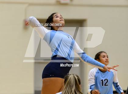 Thumbnail 3 in Lee vs Johnson photogallery.