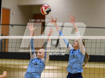 Thumbnail 2 in Lee vs Johnson photogallery.