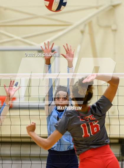 Thumbnail 2 in Lee vs Johnson photogallery.