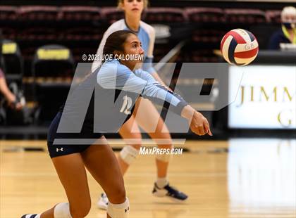 Thumbnail 3 in Lee vs Johnson photogallery.