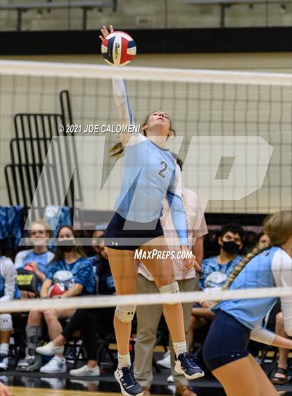 Thumbnail 3 in Lee vs Johnson photogallery.