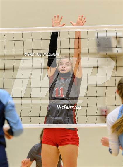 Thumbnail 2 in Lee vs Johnson photogallery.
