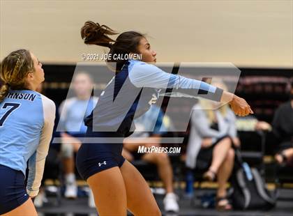 Thumbnail 2 in Lee vs Johnson photogallery.