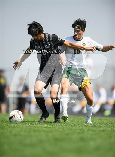 null - Photo 11