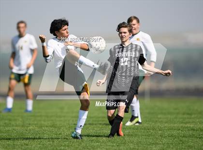Thumbnail 1 in Pueblo County @ Roosevelt photogallery.