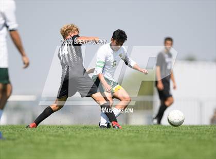 Thumbnail 2 in Pueblo County @ Roosevelt photogallery.