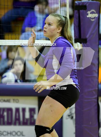 Thumbnail 3 in Yoakum @ Stockdale photogallery.