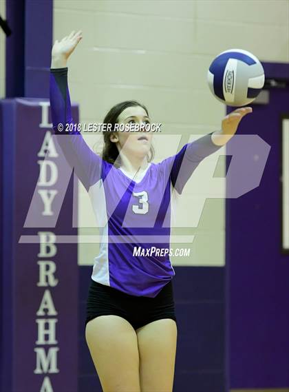 Thumbnail 2 in Yoakum @ Stockdale photogallery.