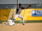 Photo from the gallery "Live Oak @ University Prep"