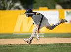 Photo from the gallery "Live Oak @ University Prep"