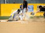 Photo from the gallery "Live Oak @ University Prep"