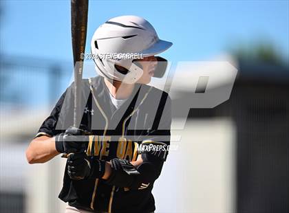 Thumbnail 1 in Live Oak @ University Prep photogallery.