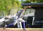 Photo from the gallery "Live Oak @ University Prep"