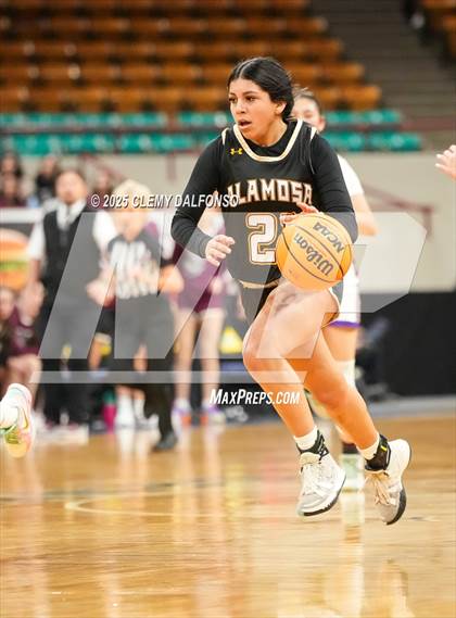 Thumbnail 1 in Alamosa vs Holy Family (CHSAA 4A Great 8) photogallery.