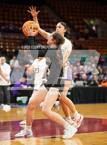 Thumbnail 1 in Alamosa vs Holy Family (CHSAA 4A Great 8) photogallery.