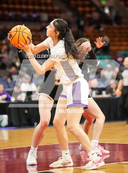 Thumbnail 1 in Alamosa vs Holy Family (CHSAA 4A Great 8) photogallery.