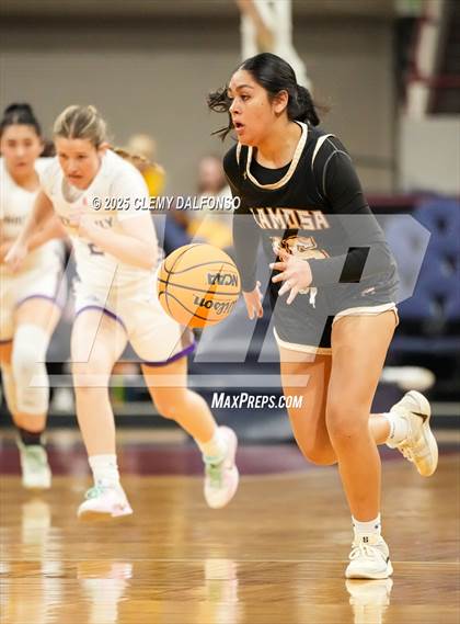 Thumbnail 3 in Alamosa vs Holy Family (CHSAA 4A Great 8) photogallery.