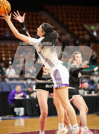 Thumbnail 3 in Alamosa vs Holy Family (CHSAA 4A Great 8) photogallery.