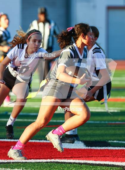 Thumbnail 1 in Hillsdale vs. Sequoia photogallery.