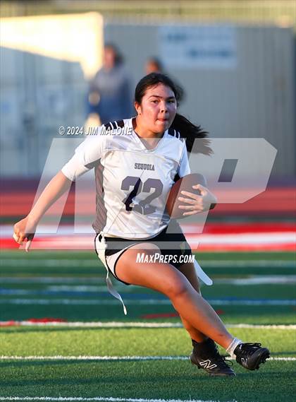 Thumbnail 3 in Hillsdale vs. Sequoia photogallery.