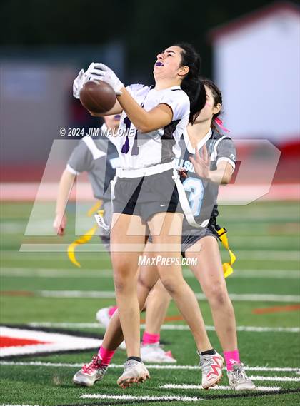 Thumbnail 1 in Hillsdale vs. Sequoia photogallery.