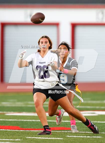 Thumbnail 2 in Hillsdale vs. Sequoia photogallery.