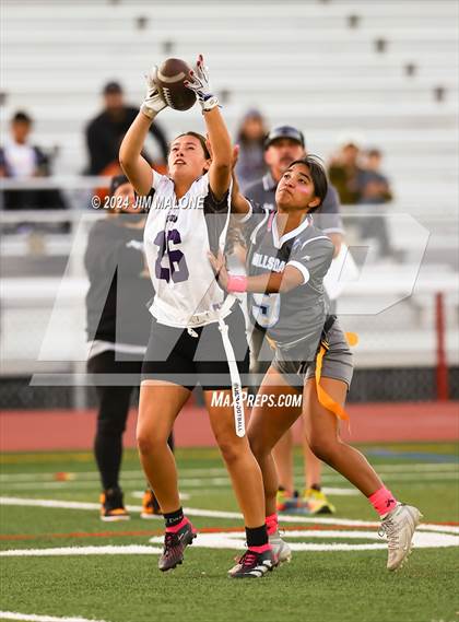 Thumbnail 3 in Hillsdale vs. Sequoia photogallery.