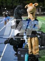 Photo from the gallery "Paramount @ Carson"