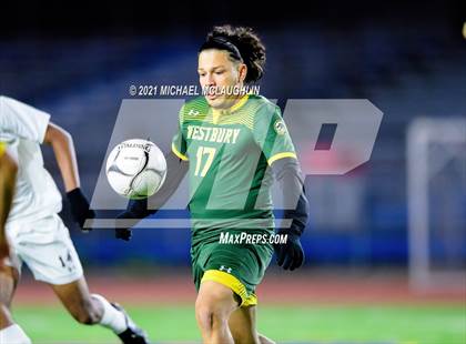 Thumbnail 1 in Uniondale vs Westbury (Section 8 Nassau AA Final) photogallery.