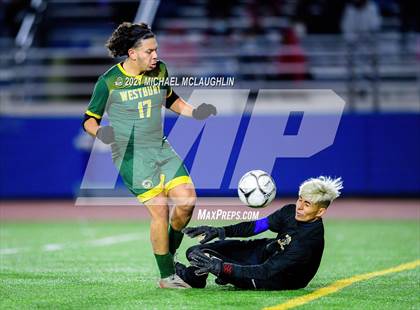 Thumbnail 3 in Uniondale vs Westbury (Section 8 Nassau AA Final) photogallery.