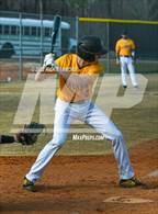 Photo from the gallery "Forest Hills @ Montgomery Central"