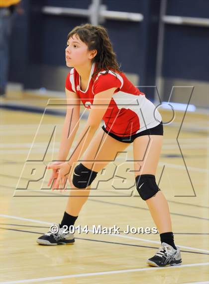 Thumbnail 1 in Desert Vista vs. North photogallery.