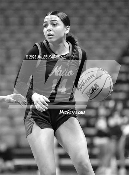 Thumbnail 2 in Coronado vs Centennial (NIAA 5A State Finals) photogallery.