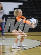 Photo from the gallery "Bloom-Carroll @ Amanda-Clearcreek"