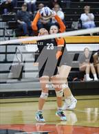 Photo from the gallery "Bloom-Carroll @ Amanda-Clearcreek"