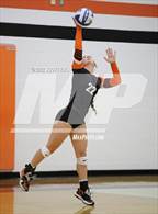 Photo from the gallery "Bloom-Carroll @ Amanda-Clearcreek"