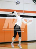 Photo from the gallery "Bloom-Carroll @ Amanda-Clearcreek"