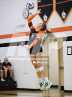 Photo from the gallery "Bloom-Carroll @ Amanda-Clearcreek"