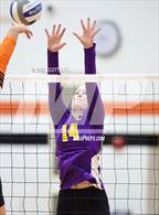 Photo from the gallery "Bloom-Carroll @ Amanda-Clearcreek"