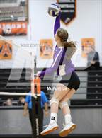 Photo from the gallery "Bloom-Carroll @ Amanda-Clearcreek"