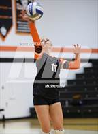 Photo from the gallery "Bloom-Carroll @ Amanda-Clearcreek"