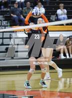 Photo from the gallery "Bloom-Carroll @ Amanda-Clearcreek"