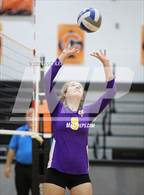 Photo from the gallery "Bloom-Carroll @ Amanda-Clearcreek"