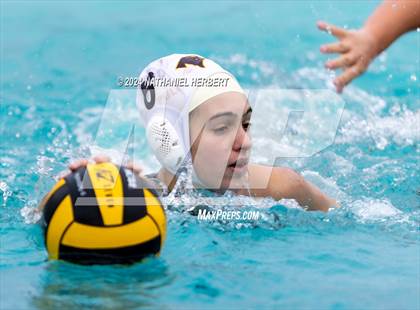 Thumbnail 1 in Torrey Pines vs. Villa Park photogallery.