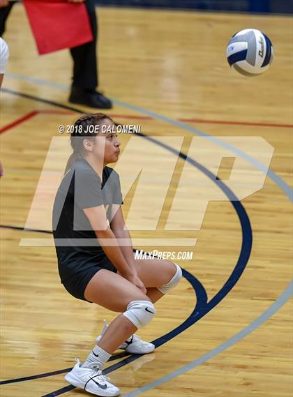 Thumbnail 3 in Edison [Thomas A.] vs Lanier [Sidney] photogallery.