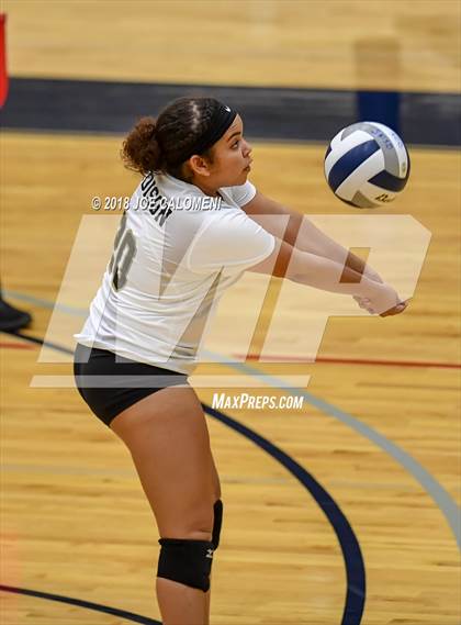 Thumbnail 2 in Edison [Thomas A.] vs Lanier [Sidney] photogallery.